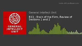 B13 - Brain of the Firm, Review of Sections 1 and 2