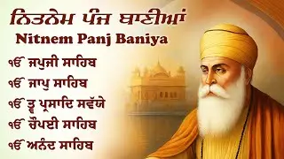 29\12\2025 Panj Bania - ਪੰਜ ਬਾਣੀਆ \\ Path Panj Bania \\ Nitnem Sahib Da Path \\ ਨਿਤਨੇਮ ਪੰਜ ਬਾਣੀਆ