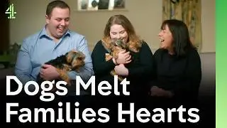 Dogs Melting Families Hearts | The Dog House 🐶