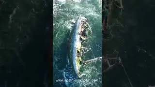 🎼Абердиншир, расположенный на северо-востоке Шотландии, — волшебное место, которое определенно ст...