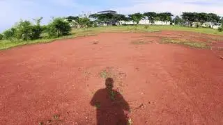 Insta 360 4K Boost Lens Gemboel The Chihuahua At Gading Serpong - January 3, 2025 08:06AM