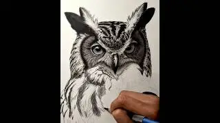 How to Draw Hyper Realistic Owl Step by step #drawing