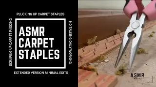 Carpet ASMR &mdash; Padding Removal Extended | ASMR esseio