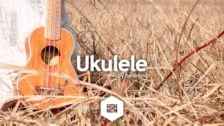 Ukulele - Bensound | Royalty Free Music - No Copyright Music