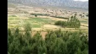 chanakhwa orgun paktika afganistan