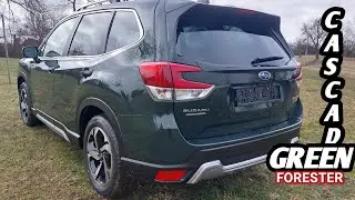 Subaru Forester 2023 Lineartronic 2.0ie | Cascade Green Silica | Hall view 360⁰