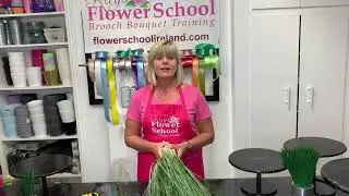 Top Tips to condition bear grass