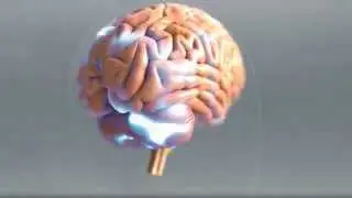 Nerium EHT Brain Health