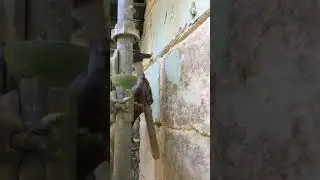 Restoration stone facade malta