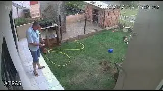 Absolute best way to get rid of gophers and moles ￼