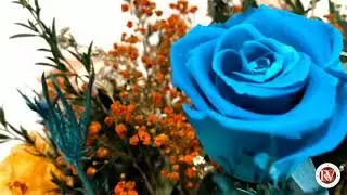 Composizione floreale - Metamorfosi - Fiori Stabilizzati