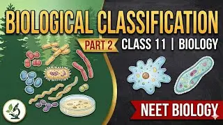 Biological Classification class 11 | Biological Classification class 11 One Shot 