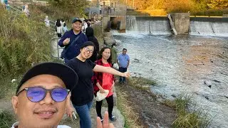 Just about last October | Fish ladder Port Hope, Ontario
