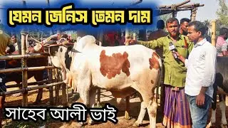 @২৮/১১/২৫, শাহিওয়াল জাতের গরু নিয়ে, আমবাড়ি হাটে সাহেব আলী ভাই কেমন দাম চাচ্ছে দেখেন, cow price?