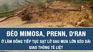 Đèo Mimosa, Prenn, D'ran ở Lâm Đồng tiếp tục sạt lở sau mưa lớn kéo dài, giao thông tê liệt