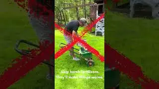 How to Deal with Lawn Drought and Heat Stress