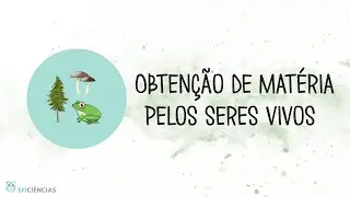 Obtenção de matéria pelos seres vivos - Biologia e Geologia 10ºano