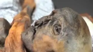 El linaje materno de &Ouml;tzi est&aacute; hoy extinguido