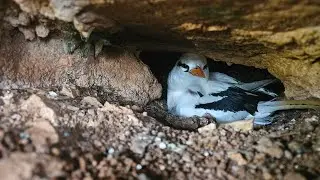 Exploring the Cave at Blue Hole Bermuda....