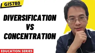 Diversification vs Concentration | GIS780
