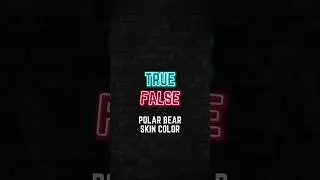 TRUE or FALSE #polarbear #shorts #fact