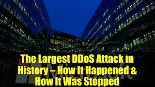 Крупнейшая DDoS-атака в истории &mdash; как она произошла и как её остановили