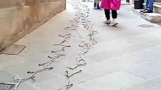 Domenica rullo foiano della chiana 2018