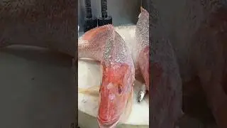 seafood fresh red snapper fish cutting slice skills #short YouTube video