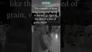 Inspirational Quranic Verses: The Power of Charity &ndash; Surah Al-Baqarah (2:261)