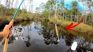 Fishing HIDDEN, Deep, BACKWOODS! Creek In My 17ft. SCOUT! *MULTIPLE Species