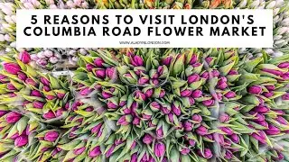 5 REASONS TO VISIT THE COLUMBIA ROAD FLOWER MARKET IN LONDON | Flower Market | London Market