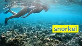 Water Sports