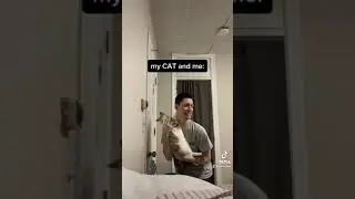 Нужно защитить кота любой ценой #шорты #короткометражныйвидео #колледж