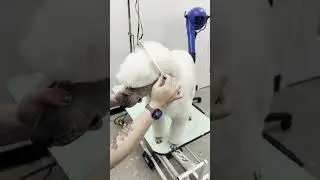 Thick-N-Thicker Spray