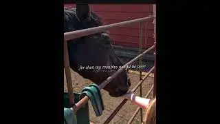 didn't get much photos but ok- #bigfuture #horse #horsegirls #rodeo #horsesaremylife