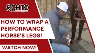 How To Wrap A Performance Horse's Legs!