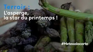 Terroir : l'asperge, la star du printemps !