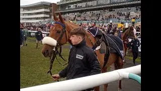 Racehorse - Maximilian - Doncaster Racecourse
