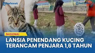Polisi Gercep Ungkap Pelaku Penendang Kucing: Pensiunan Pemkab Blora, Sudah Lansia