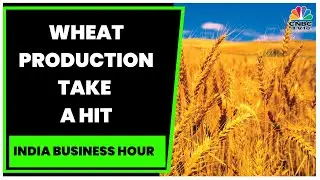 Wheat Production Take A Hit, Prices Hit The Roof | Take A Look | India Business Hour | CNBC-TV18