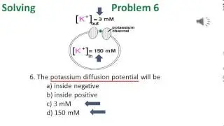 Diffusion and Osmosis problem 6 video