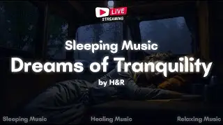 [LIVE] Dreams of Tranquility 🌛 Deep Sleep, Insomnia, Stress Relief, Relaxing💤
