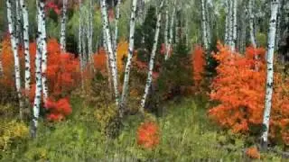Fall in Park City, Utah - Park City Chamber/Bureau