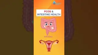 PCOS and Guts Health: What&rsquo;s the connection? | Dr Supriya Puranik #pcos #guthealth #short #drsupriya