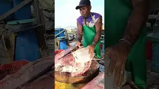 Filleting big tuna #shorts #fishcutting #fish #tuna #seafood #fyp