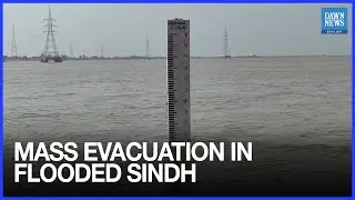 Thousands Evacuated from Taunsa and Layyah Flooded Villages in Punjab | Dawn News English