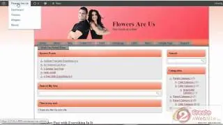 How to Create a Website With Artisteer