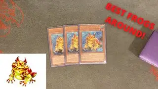Paleozoic Frogs 2nd Place Deck Profile October 2021