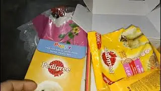 free pedigree sample for 🐕🐕🐕🐕#pug #pedigree #free