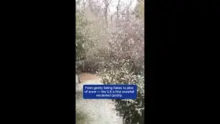Uk Blanketed With First Snow